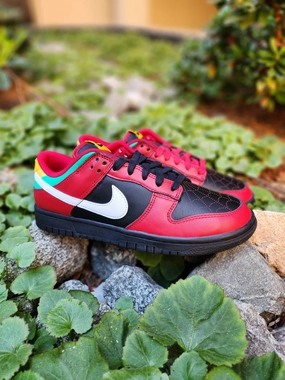 Best Nike Running Shoes 2025 Review Nike Dunk Low LTD
