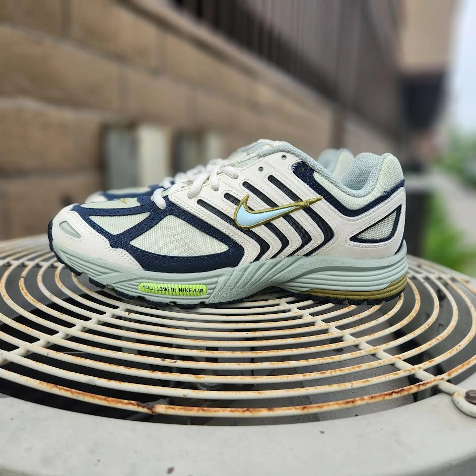 Nike Air Pegasus 2005 Nike Shoes Low Top