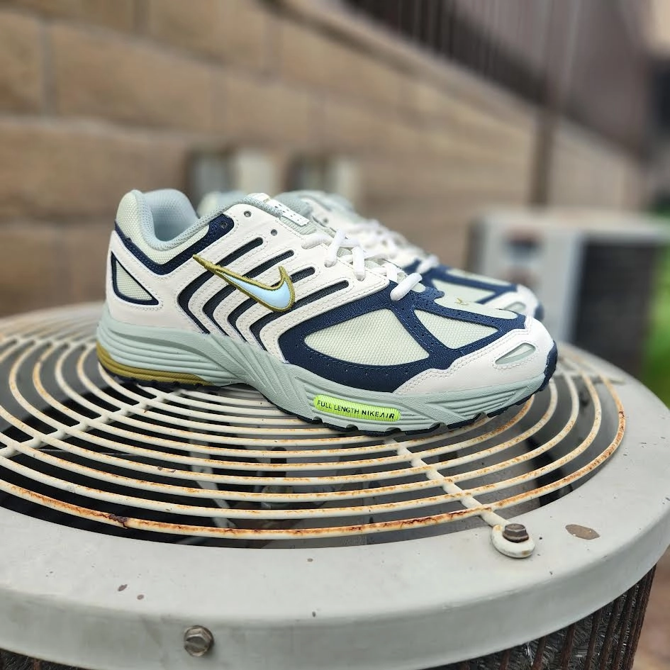 Nike Shoes Self Tie Nike Air Pegasus 2005