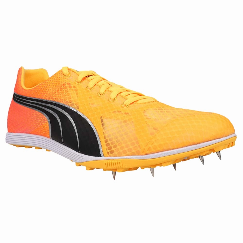 Evospeed Crossfox 4 Track & Field Shoes Puma Sky Basketball Shoes