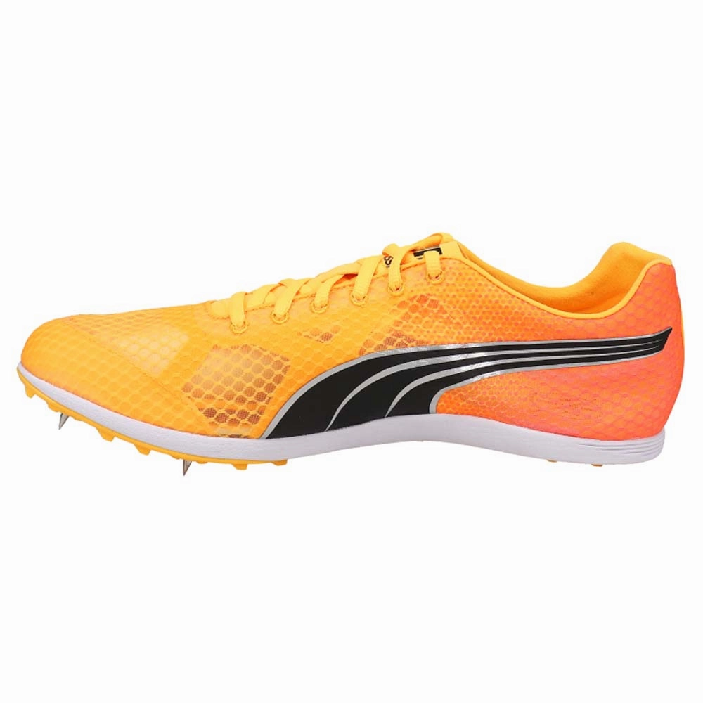 Puma Dunkin Donuts Shoes Evospeed Crossfox 4 Track & Field Shoes