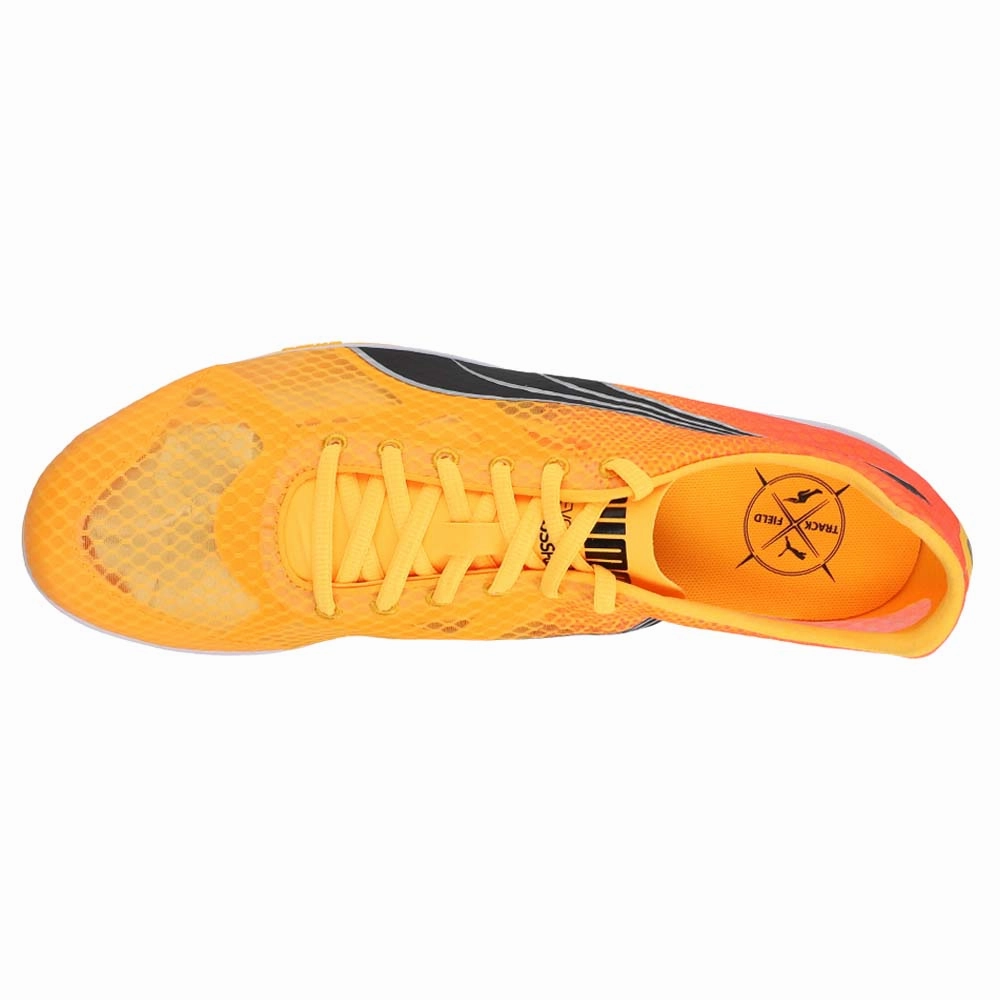 Evospeed Crossfox 4 Track & Field Shoes Puma Shoes Rule Breaker