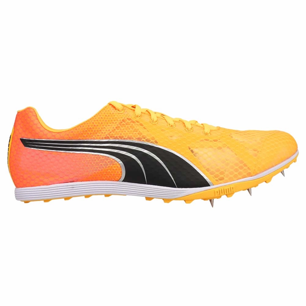 Evospeed Crossfox 4 Track & Field Shoes Puma Nxt Golf Shoes
