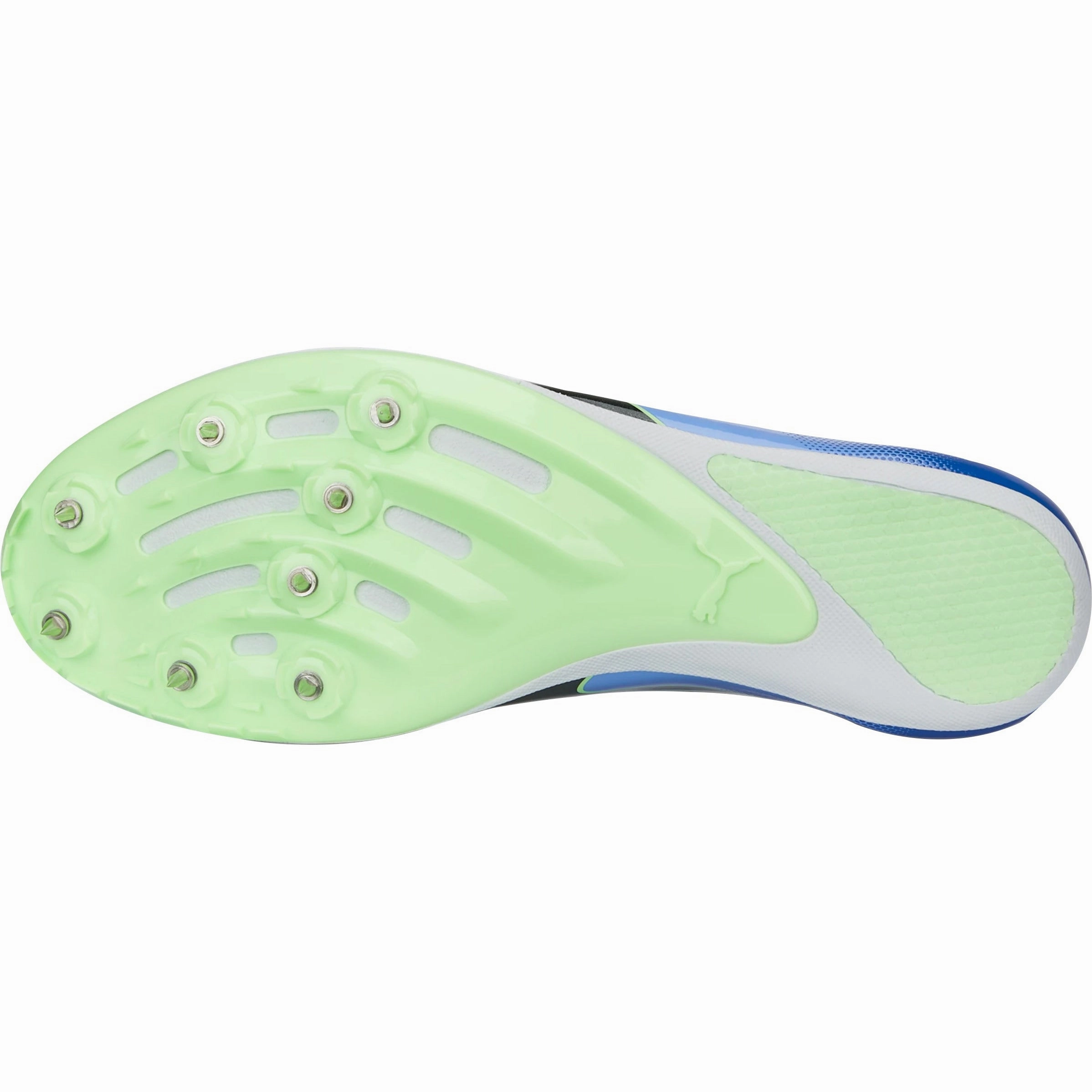 Puma evoSpeed Sprint 14 Running Spikes - Purple Puma Style Shoes