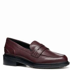 Geox D Walk Pleasure F Moccasins Meermin Loafers