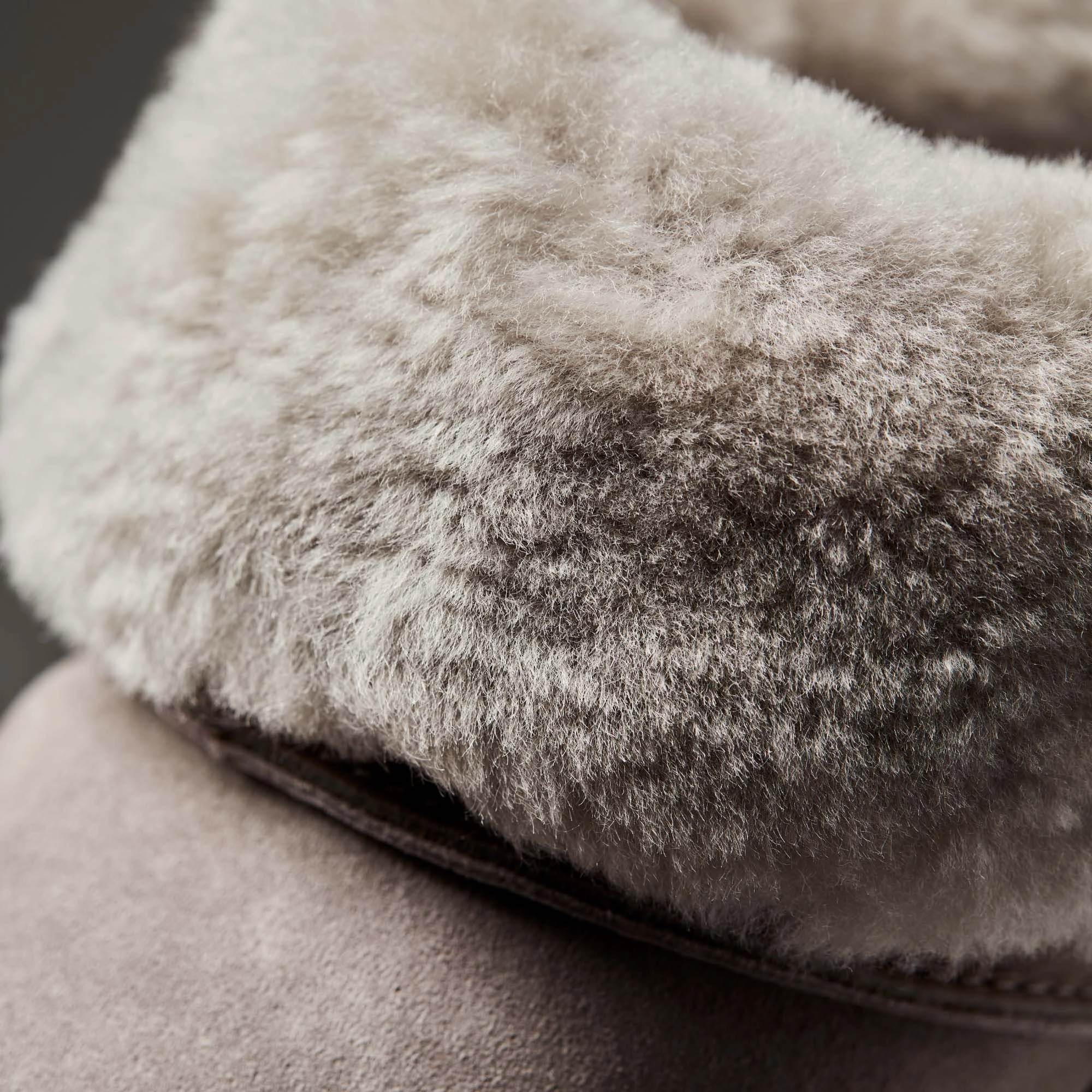 Adult Dinosaur Slippers Kui - Fog / Mist Grey