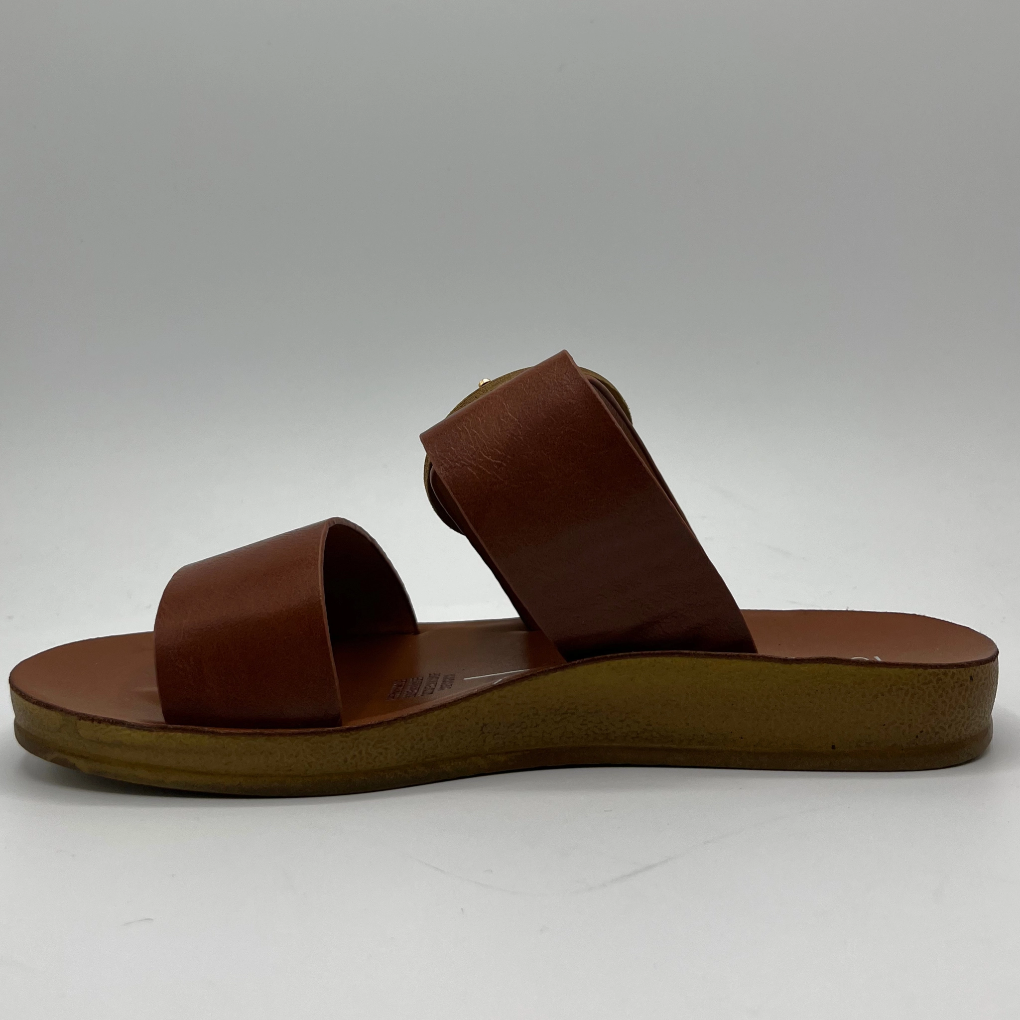 Los Cabos Damani Sandals Hotel Exuma Bahamas