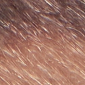 Martens Loafers Maevyn