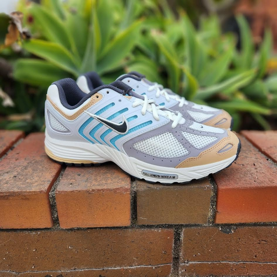 Nike Shoes Gore Tex Nike Air Pegasus 2005 'PHANTOM'