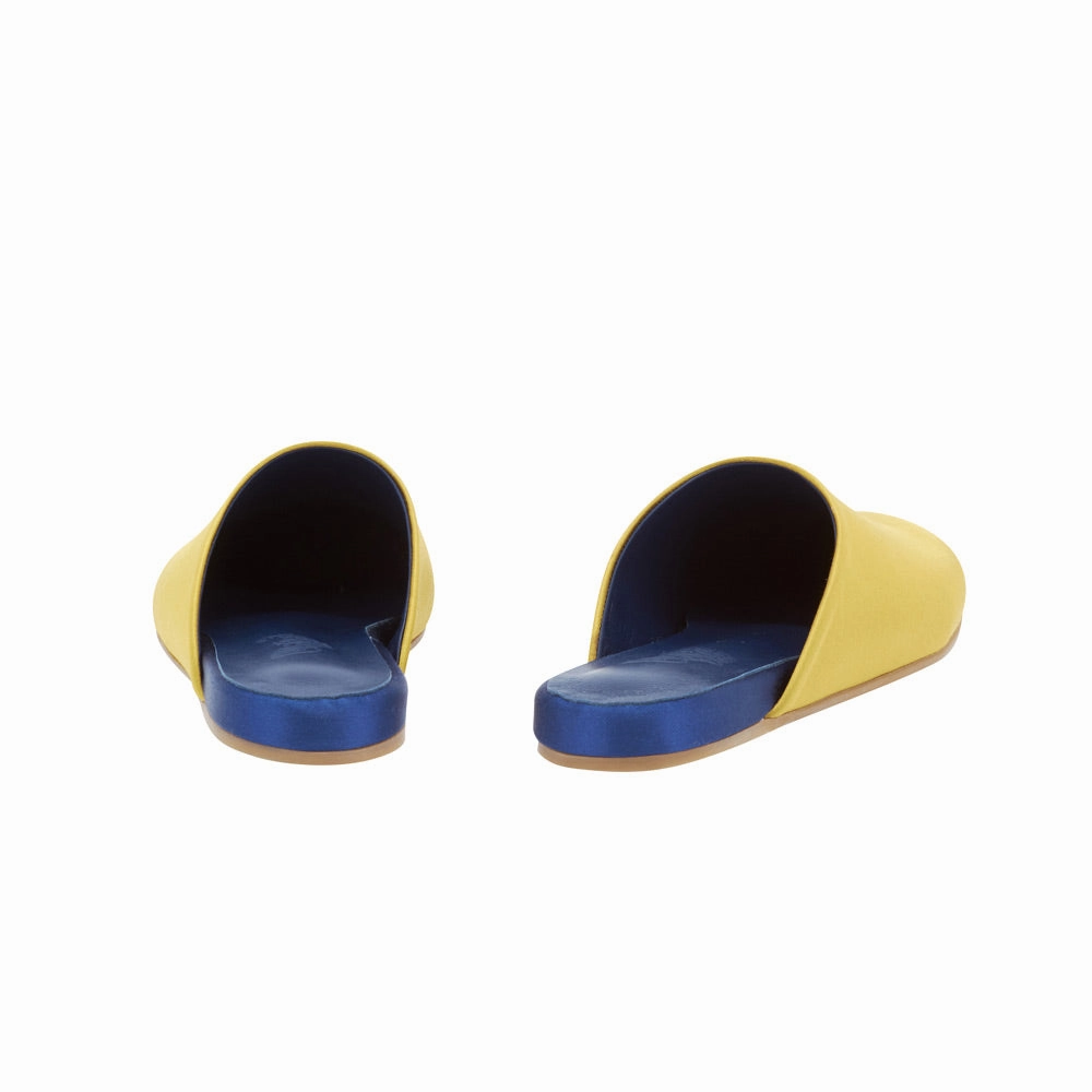 The Slipper Ochre/Navy Pointed Toe Slides
