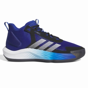 Big 5 Sporting Goods Basketball Shoes Adizero Select Team Basketball Shoes