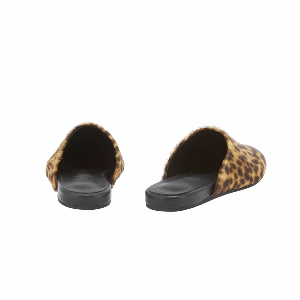 The Slipper Lynx Sliders