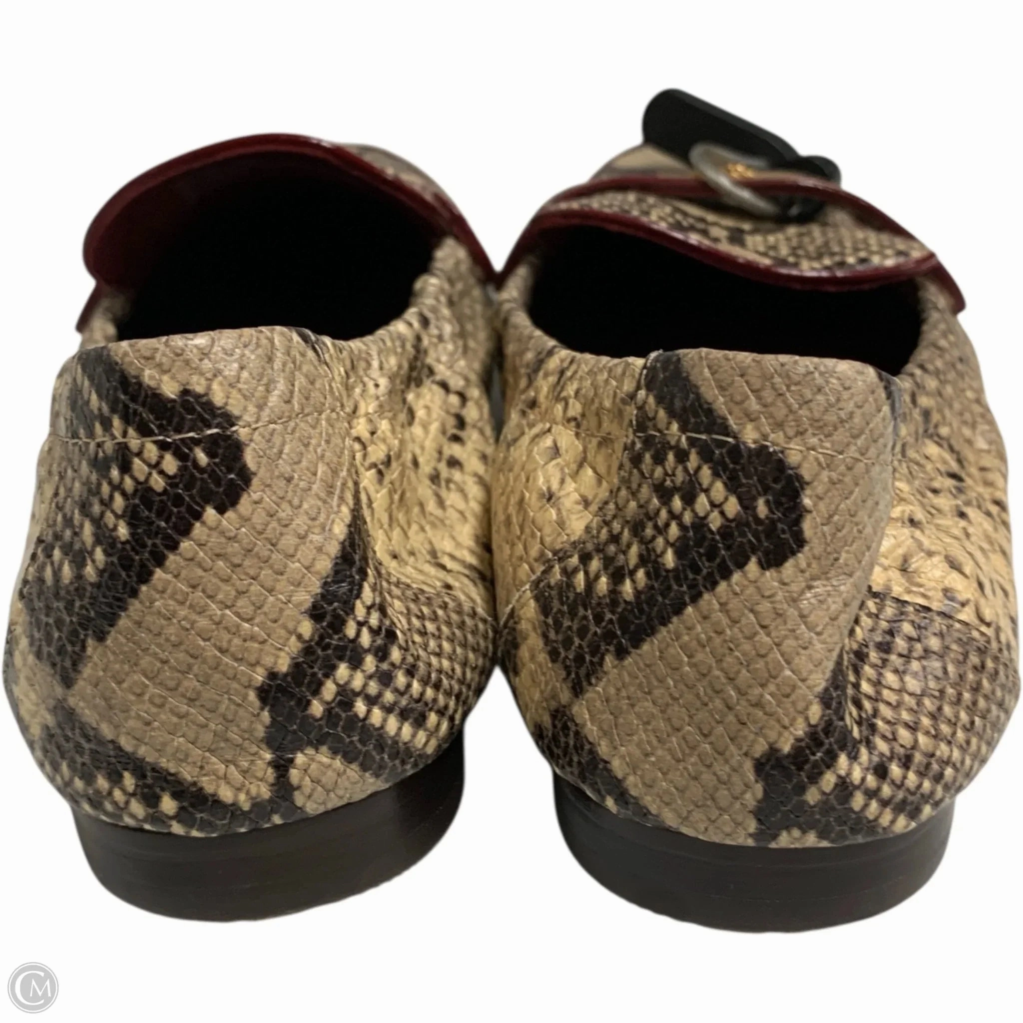 Rhude Loafers Shoes Designer By Tory Burch In Snakeskin Print, Size: 7