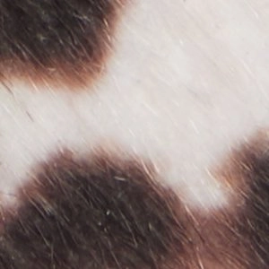 Anne Klein Loafers Dsw Sloanee