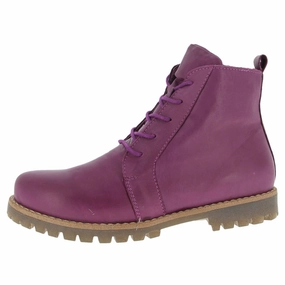 Boots Outlet Andrea Conti Naughty Plum Leather Boot (Women's)