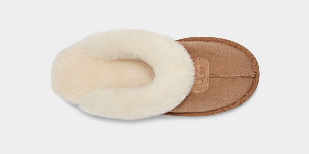 The Silver Slippers Book UGG COQUETTE - CHESTNUT