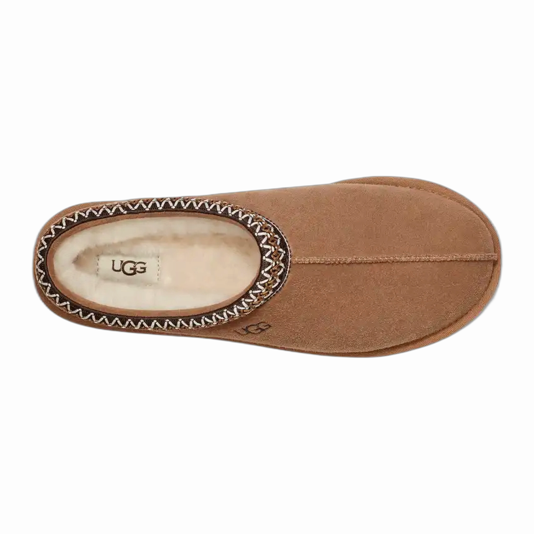 My Slides Men's Tasman Slipper