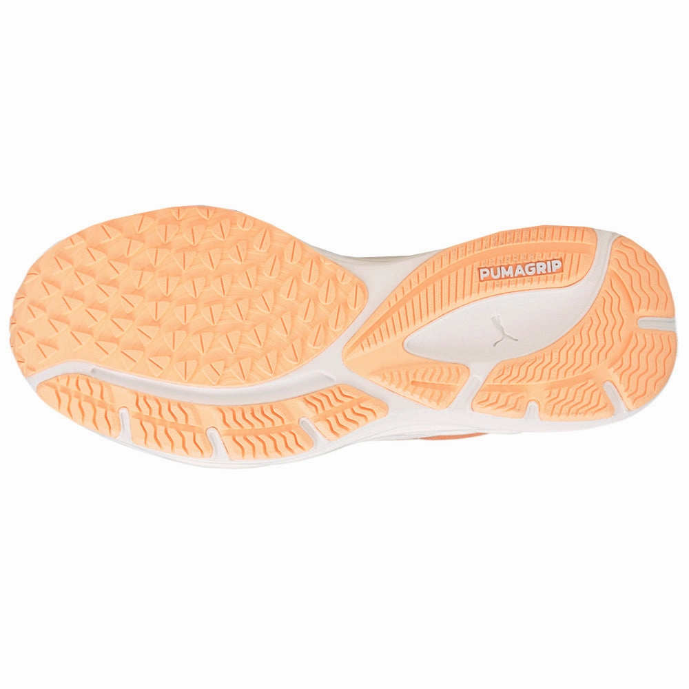 Puma Shoes Brands Velocity Nitro 2 Wildwash Running Shoes