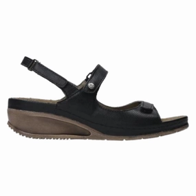 Sandals With Small Wedge Wolky Pica Biocare Black Sandal (Women's)